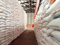 Stok Beras Bulog di Natuna 485 Ton dan Cukup Hingga Enam Bulan