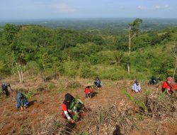 Telkom Dukung Pemulihan 82,1 Ha Lahan Kritis melalui Reboisasi 33.800 Bibit Pohon