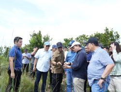 Tinjau Pembangunan Hunian Baru Masyarakat Rempang, Deputi Kemenko Polhukam Optimis Rampung Sesuai Dengan Target