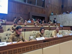 Marlin Sampaikan Langsung ke Komisi II DPR RI, Kepri Kondusif Jelang Pilkada Serentak