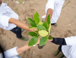 Telkom Pertegas Komitmen Energi Terbarukan di Hari Bumi 2025: Langkah Nyata Menuju Masa Depan Berkelanjutan
