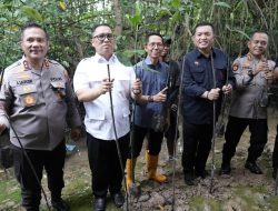 Wali Kota Batam Amsakar Ikut Tanam 1.000 Mangrove, Peringatan Hari Buruh 2025