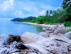 Pemprov Kepri Tegaskan Pulau Pekajang Sah Milik Kepri Berdasarkan Aturan Hukum