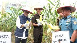 Wali Kota Batam Hadiri Panen Raya Jagung di Rempang Cate: Dorong Ketahanan Pangan dan Pemberdayaan Masyarakat