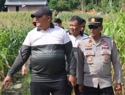 Tingkatkan kesejahteraan petani, Polres Lingga ubah 30 hektare lahan tidur jadi ladang jagung produktif