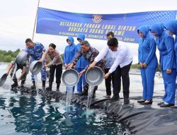 TNI AL dan Pemkab Bintan Dorong Ketahanan Pangan Lewat Budidaya Udang