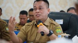 Harapan Baru Ekonomi Lingga, Smelter Alumina Thiansan Segera Terwujud