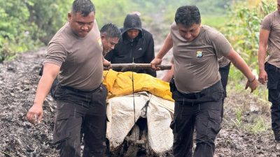 Polisi Bantu Petani Angkut 3,5 Ton Jagung di Jalan Berlumpur Desa Bukit Belah