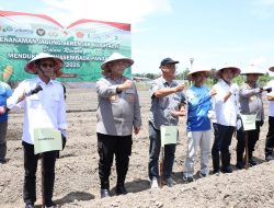 Kolaborasi Walikota Amsakar dan Kepolisian Wujudkan Swasembada Pangan Lewat Penanaman Jagung Serentak