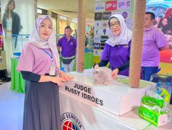 Propaganda Cat Show ICA Batam: Ajang Edukasi dan Kontes Kucing