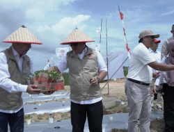 Wagub Nyanyang Hadiri Penanaman Cabai Perdana di Galang Baru, Dorong Kemandirian Pangan