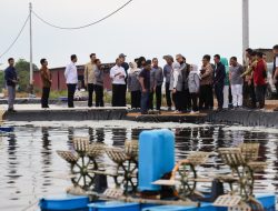 Komisi IX DPR RI Dorong Pengembangan Budidaya Udang Vaname