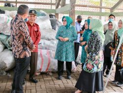 TP-PKK Batam Belajar Kelola Bank Sampah ke Jakarta Barat