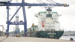 Kinerja BP Batam Triwulan 1 2026: Sektor Logistik Menguat, Volume Peti Kemas Tembus 187 Ribu TEUs