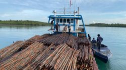 Polairud Polda Kepri Gagalkan Penyelundupan 12 Ribu Kayu Bakau Ilegal ke Singapura