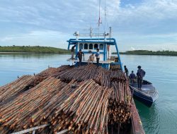 Polairud Polda Kepri Gagalkan Penyelundupan 12 Ribu Kayu Bakau Ilegal ke Singapura