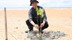 Aksi Menyelamatkan Bumi, Wali Kota bersama Mahasiswa Tanam 2.000 Mangrove