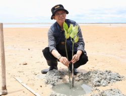Aksi Menyelamatkan Bumi, Wali Kota bersama Mahasiswa Tanam 2.000 Mangrove