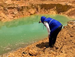 BP Batam Pulihkan Bekas Tambang Pasir Ilegal, Perusak Lingkungan Akan Diberi Sanksi Tegas