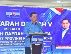 Gubernur Ansar Berharap Partai Demokrat Terus Dukung Pembangunan Kepulauan Riau