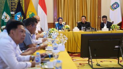 Gubernur Ansar Dukung Pengembangan Treasure Bay Bintan