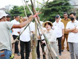 Li Claudia Tanam Pohon, Awali Penataan DAS Baloi Indah Jadi Taman Kota