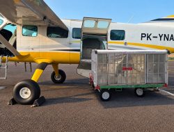 Jaga Ketersediaan Air Baku, BP Batam Siapkan Operasi Modifikasi Cuaca